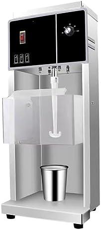 Whipping Up Delights: Our Take on the 110V Ice Cream Blender